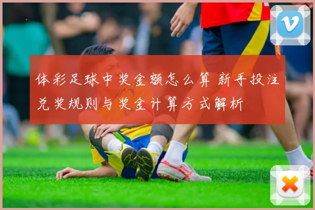 体彩足球中奖金额怎么算 新手投注兑奖规则与奖金计算方式解析